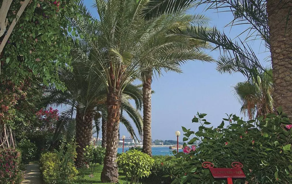 هتل روبی آلانیا